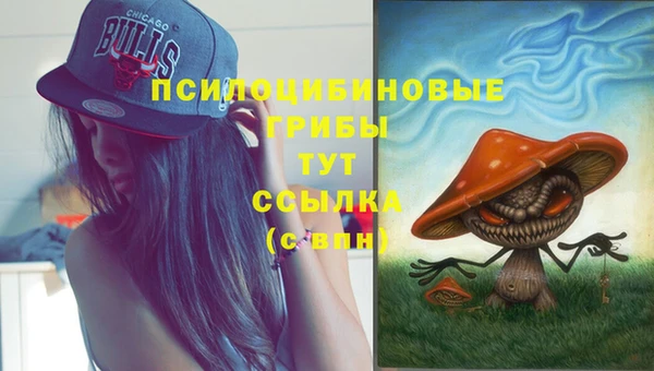 индика Верея